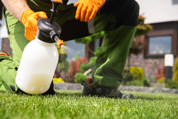 Best Flea Control Services  in Crestview Hills, KY