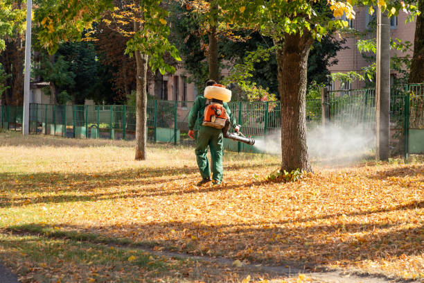 Best Residential Pest Control  in Crestview Hills, KY