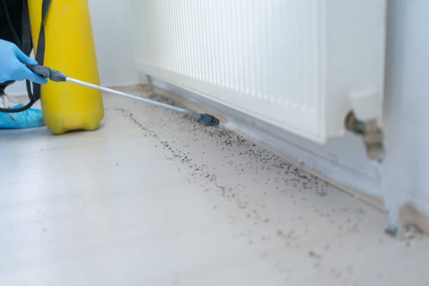 Best Emergency Pest Control  in Crestview Hills, KY